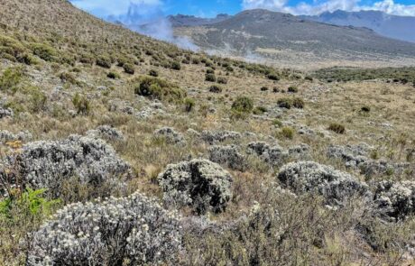 shira plateau on mount kilimanjaro