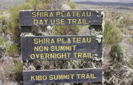 shira plateau kilimanjaro