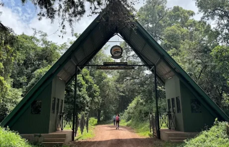 lemosho-gate-kilimanjaro lemosho gate kilimanjaro