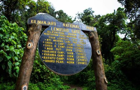lemosho gate kili