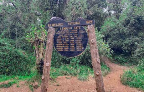 lemosho gate kilimanjaro