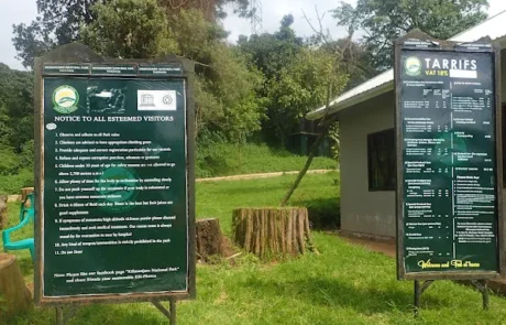 lemosho gate kilimanjaro