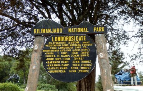 londorosi gate – kilimanjaro