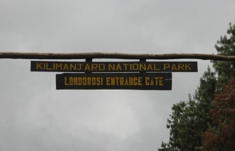 londorosi gate – kilimanjaro -1