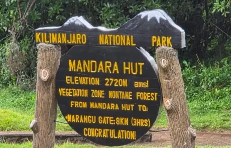 mandara hut kilimanjaro