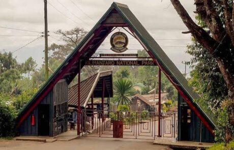 marangu gate kilimanjaro
