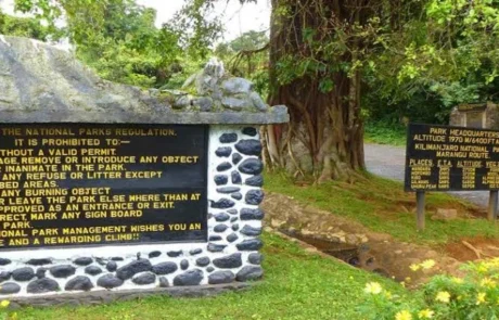 marangu gate kilimanjaro