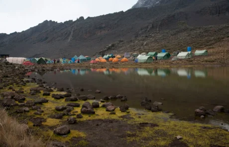 mawenzi-tarn-camp mawenzi tarn camp kilimanjaro
