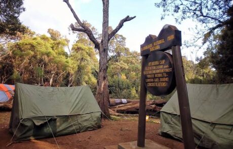 mti mkubwa camp mti mkubwa camp kilimanjaro
