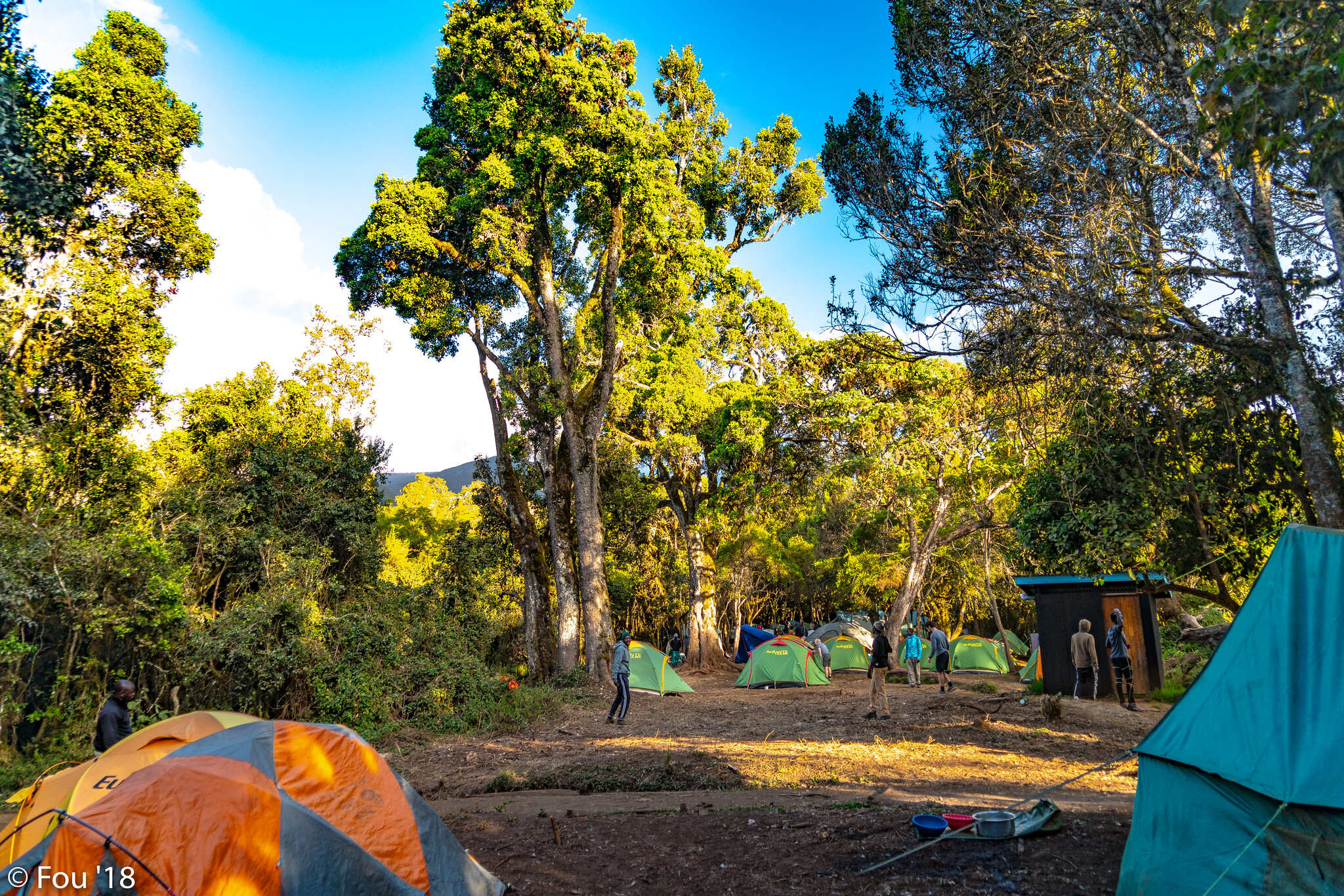 mti mkubwa camp kilimanjaro