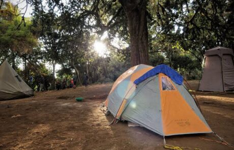 mti mkubwa camp- on- lemosho mti mkubwa camp on lemosho route