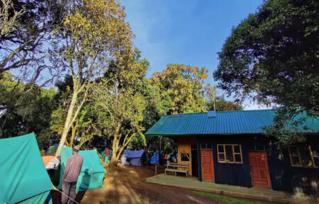 mti mkubwa camp- lemosho mti mkubwa camp via lemosho