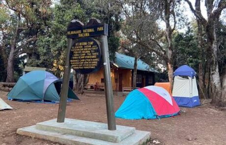 mti mkubwa camp kilimanjaro mti kubwa or forest camp