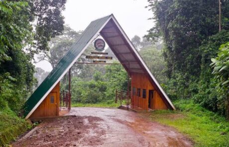 mweka gate kilimanjaro