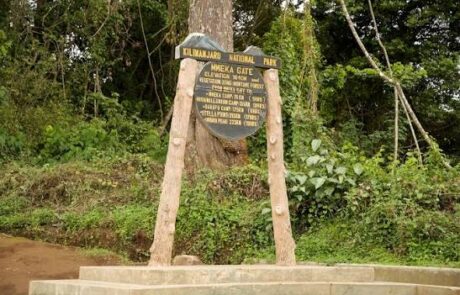 mweka gate kilimanjaro
