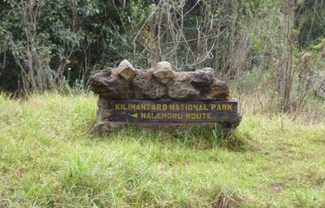 rongai route kilimanjaro