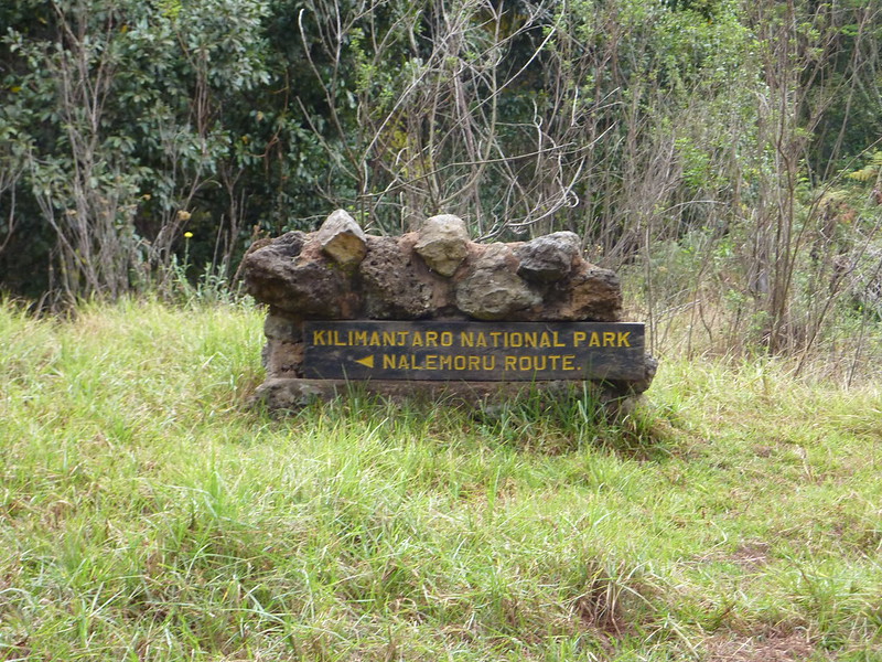 rongai route kilimanjaro 