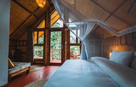 samora river lodge samora river lodge