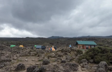 shira 2 camp