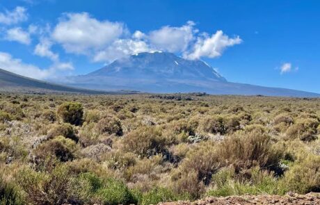shira-route-kilimanjaro shira plateau