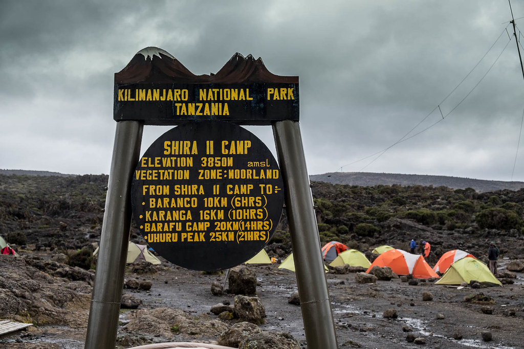 shira two kilimanjaro