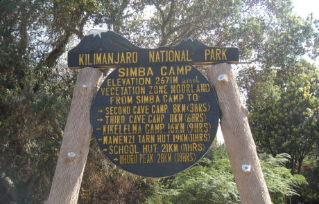 simba camp kilimanjaro