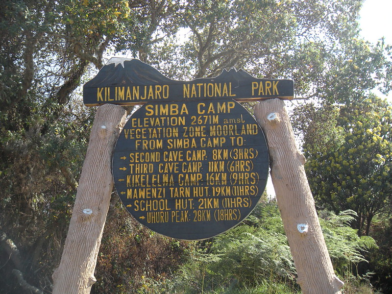 simba camp kilimanjaro