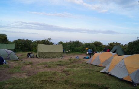 simba camp kilimanjaro