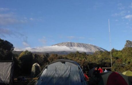 simba camp rongai
