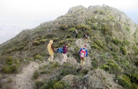 Arusha_National_Park_Mount_Meru_Trekking_10 mount meru