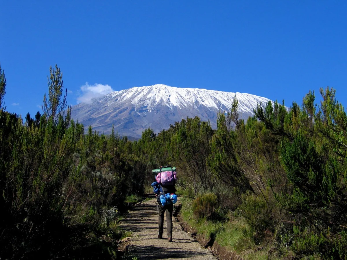 Kilimanjaro-Climb-Rongai-Route