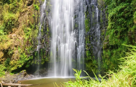 Materuni_Waterfalls Materuni watefall and coffee tour