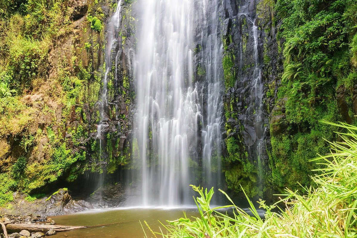 Materuni watefall and coffee tour