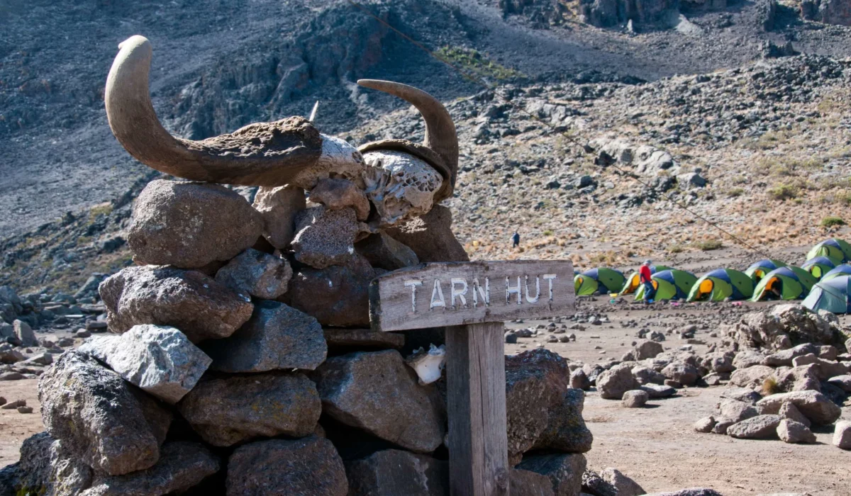mawenzi tarn camp kilimanjaro 
