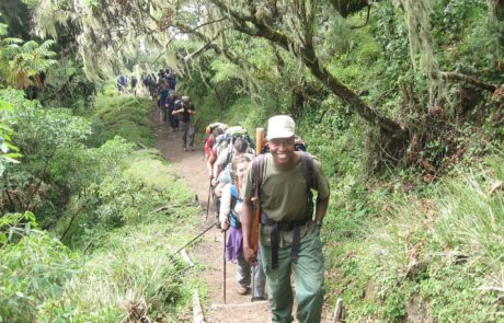 Mount-Meru-Trekking-Tanzania how to trek mount meru