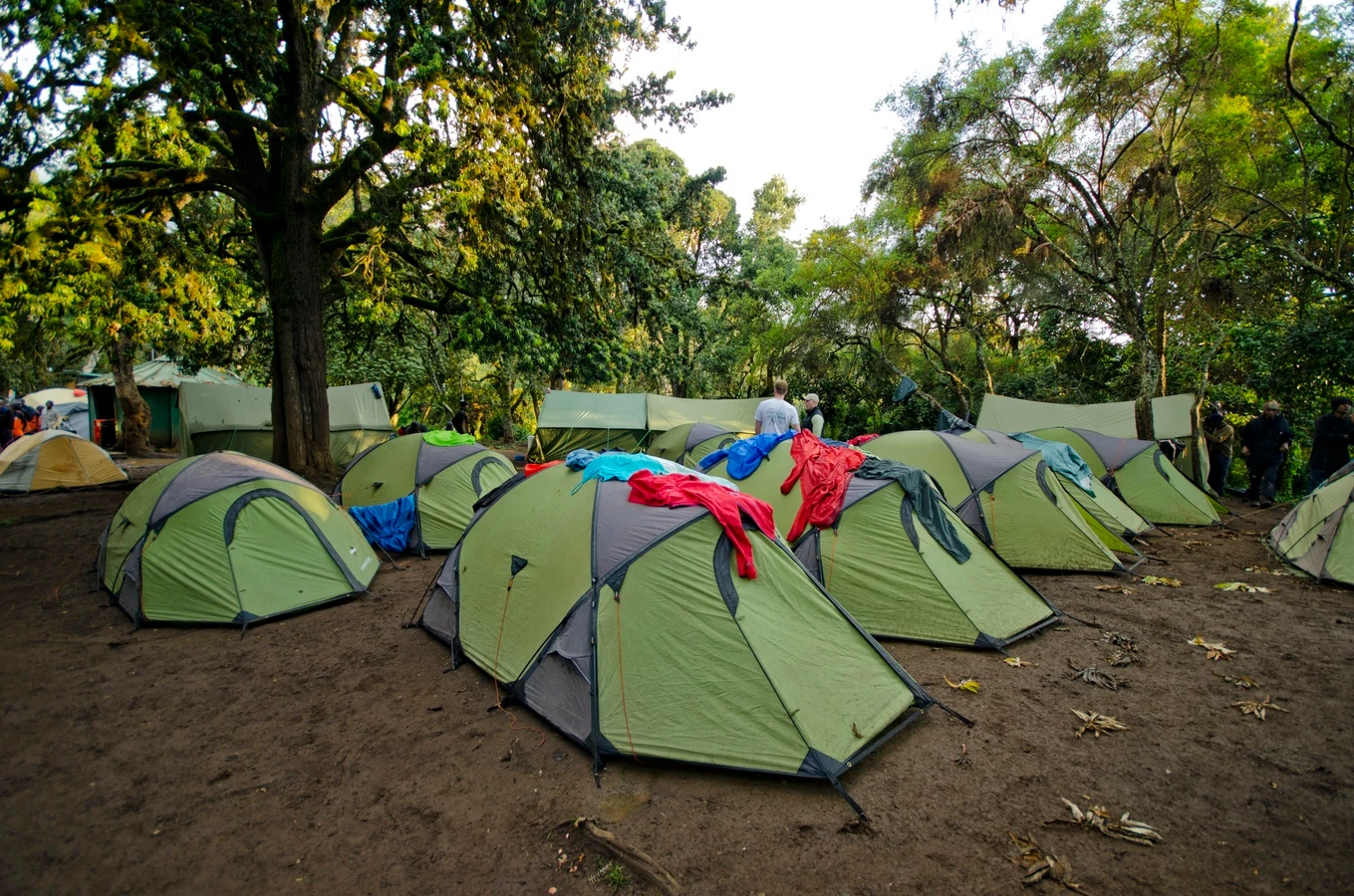 mti mkubwa camp kilimanjaro