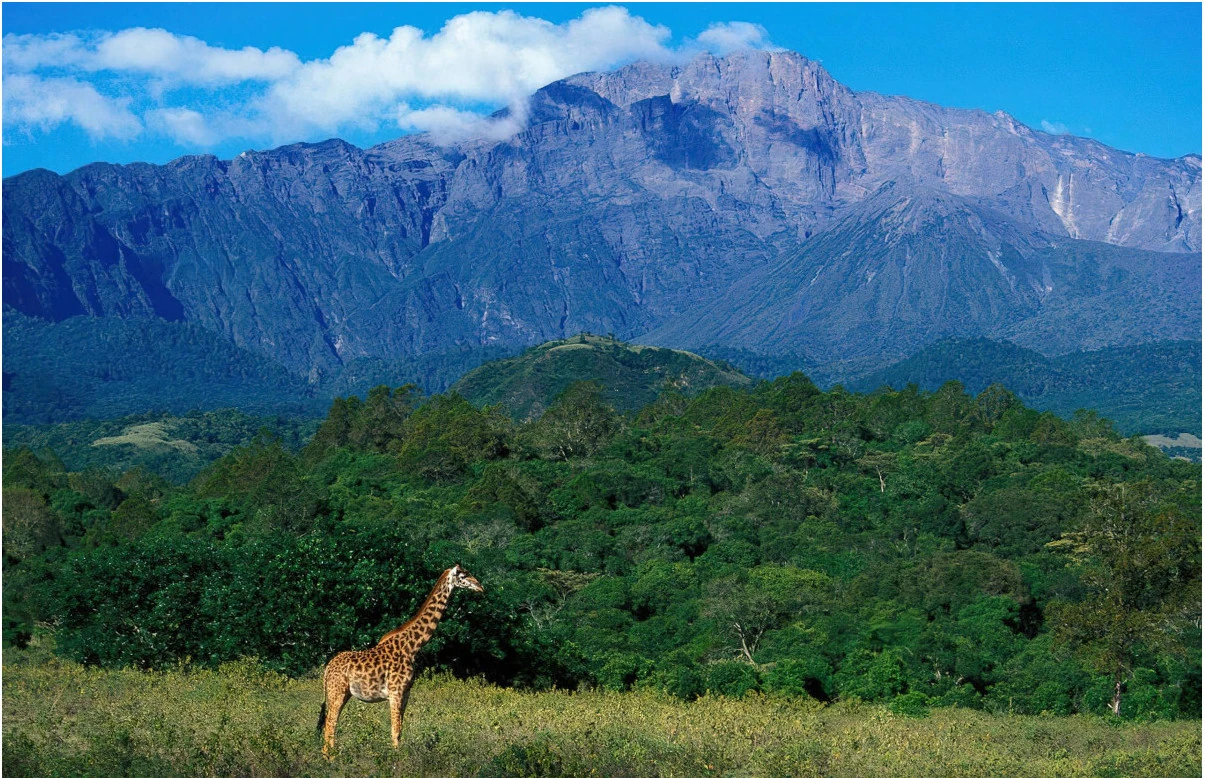 arusha national park