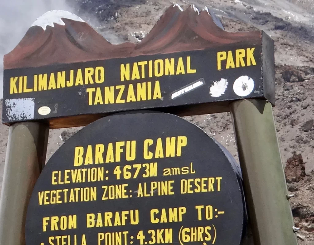 barafu camp kilimanjaro 