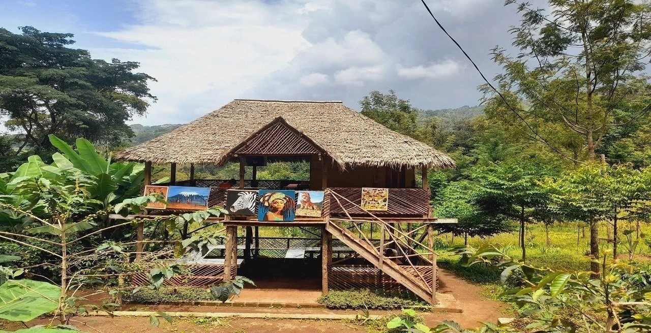 materuni village day trip kilimanjaro