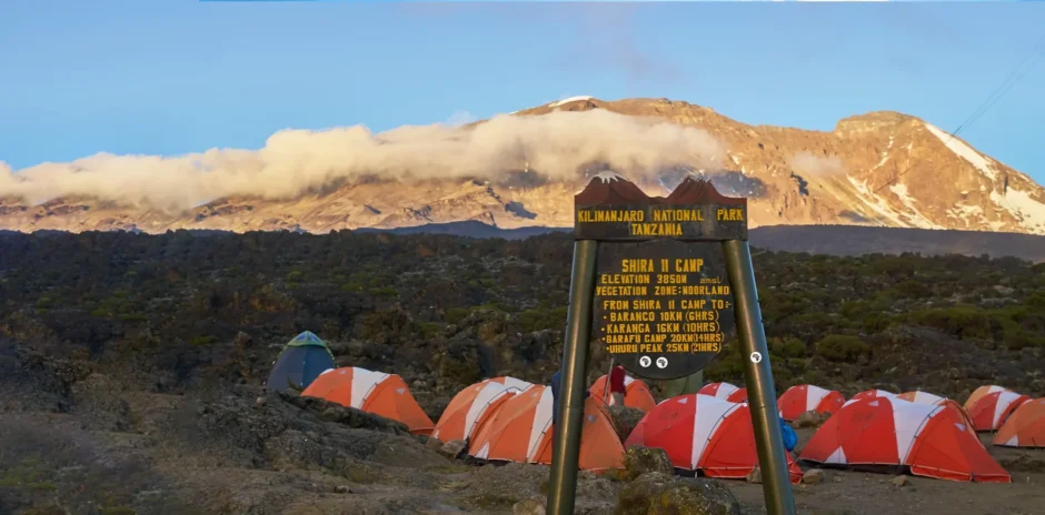 shira 2 camp kilimanjaro