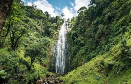materuni-waterfall-and-coffee-tour Materuni watefall and coffee tour