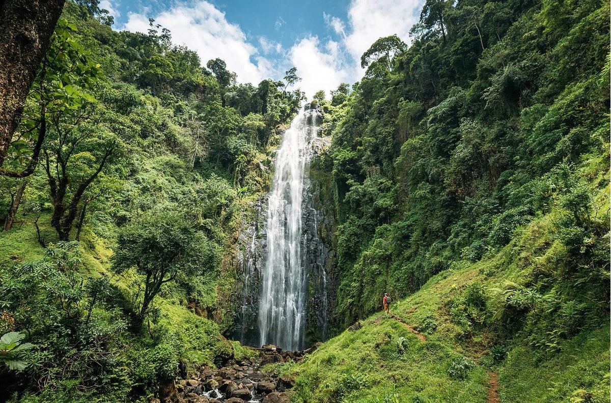 Materuni watefall and coffee tour