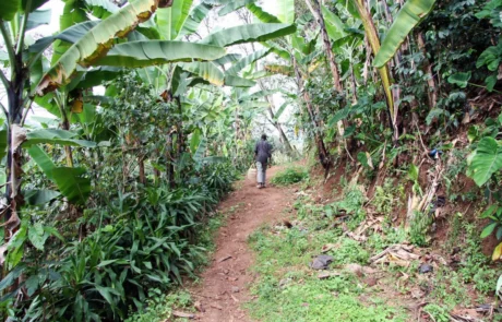 materuni-waterfall -village Materuni waterfall village trail