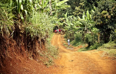 materuni-waterfall-walking -trail materuni waterfall village trail