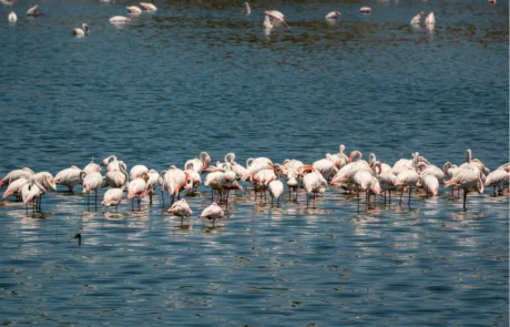 momela-lake-photo momella lakes