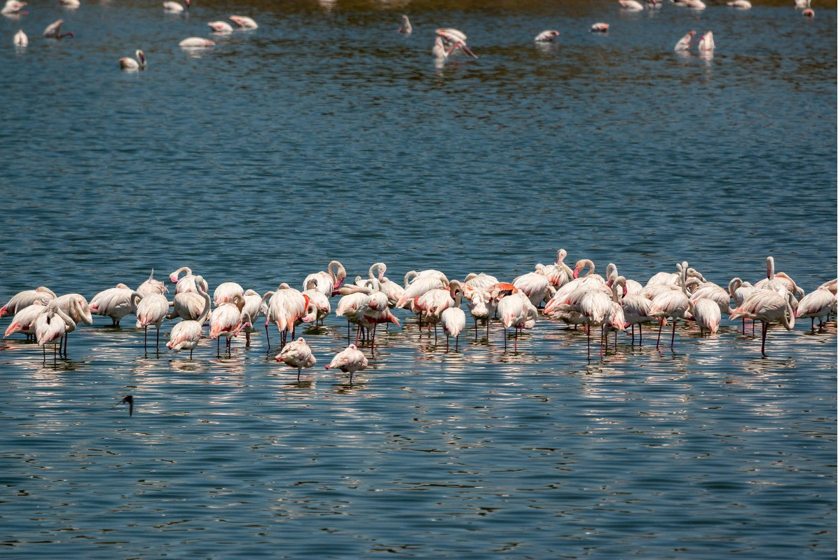 momella lakes