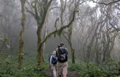 momella-route-mount-meru momella route