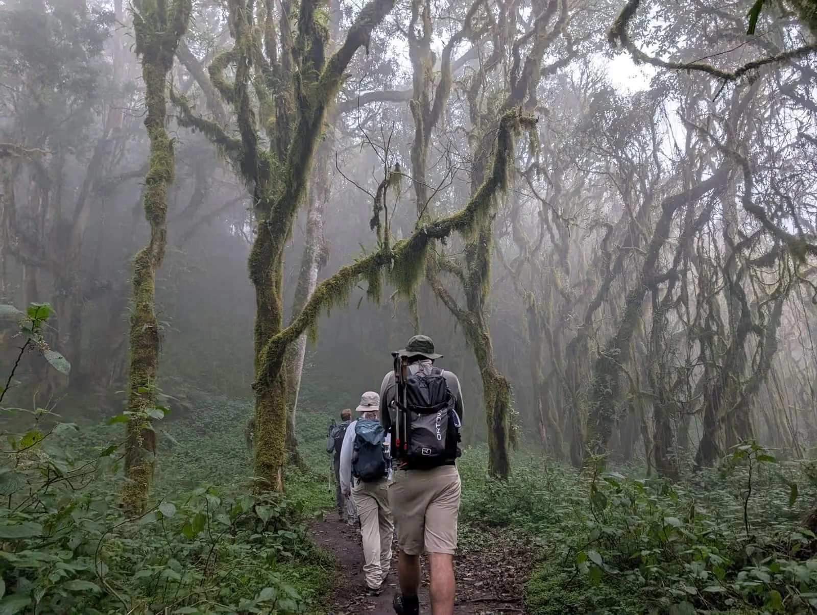 momella route