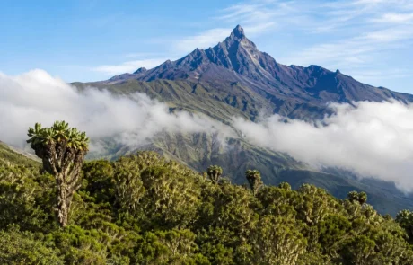 momella -route-meru-tanzania momella route