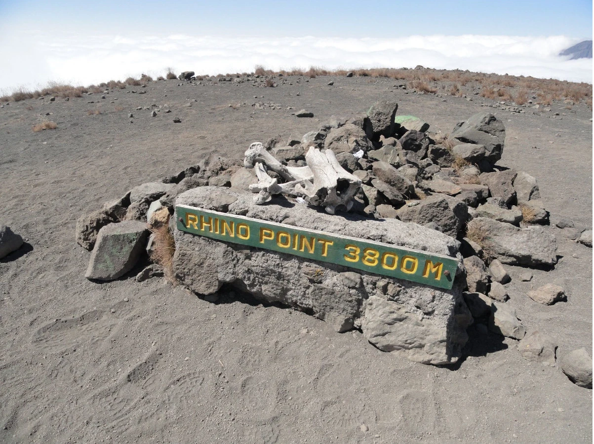rhino-point -mount-meru rhino point mount meru